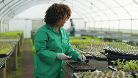 Greenhouse,-farming-and-happy-woman-planting-seeds