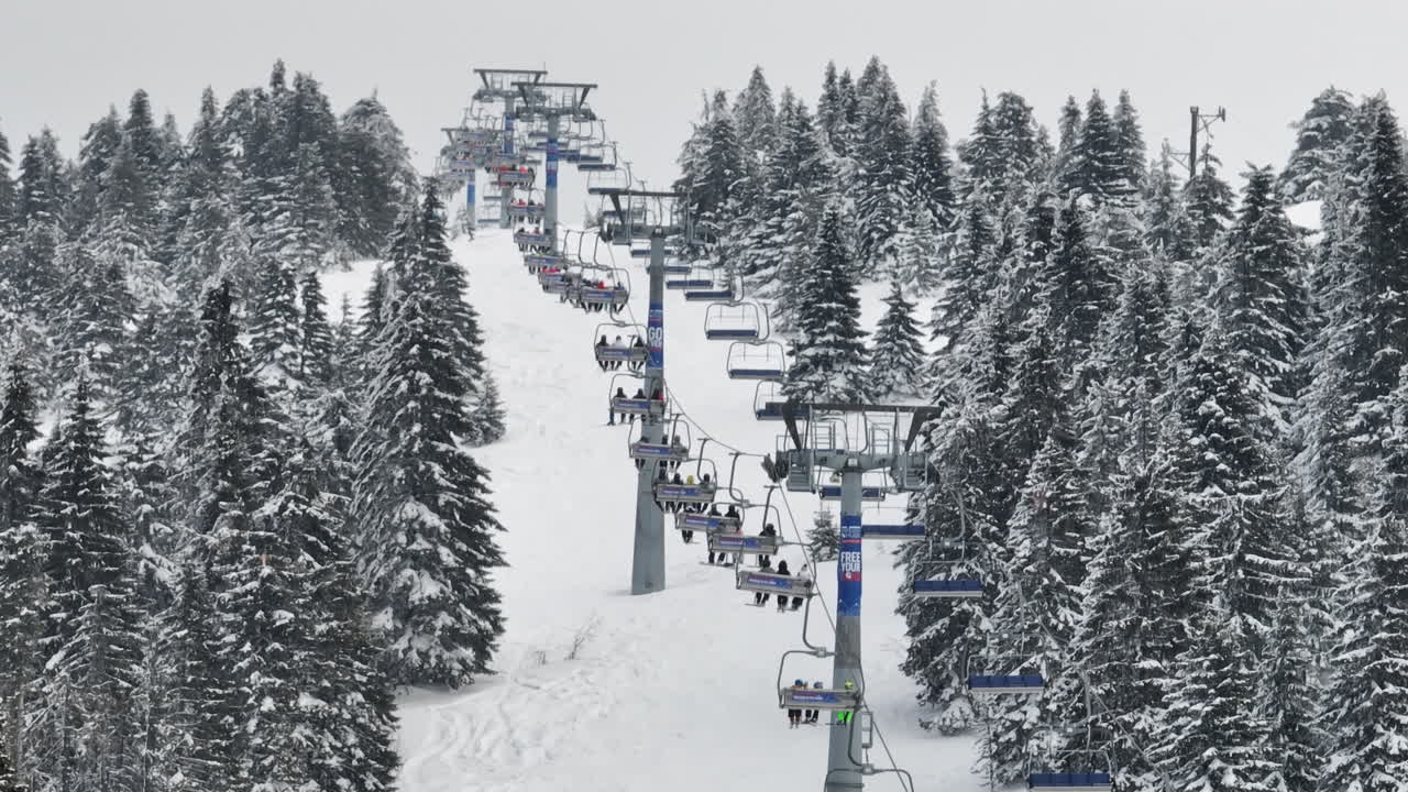 Ski lift ascending a snowy mountain slope with snow-covered trees