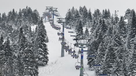 ski lift ascending a snowy mountain slope with snow-covered trees