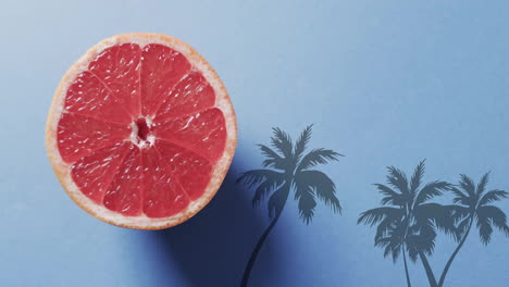 composition of halved grapefruit and palm trees over blue background