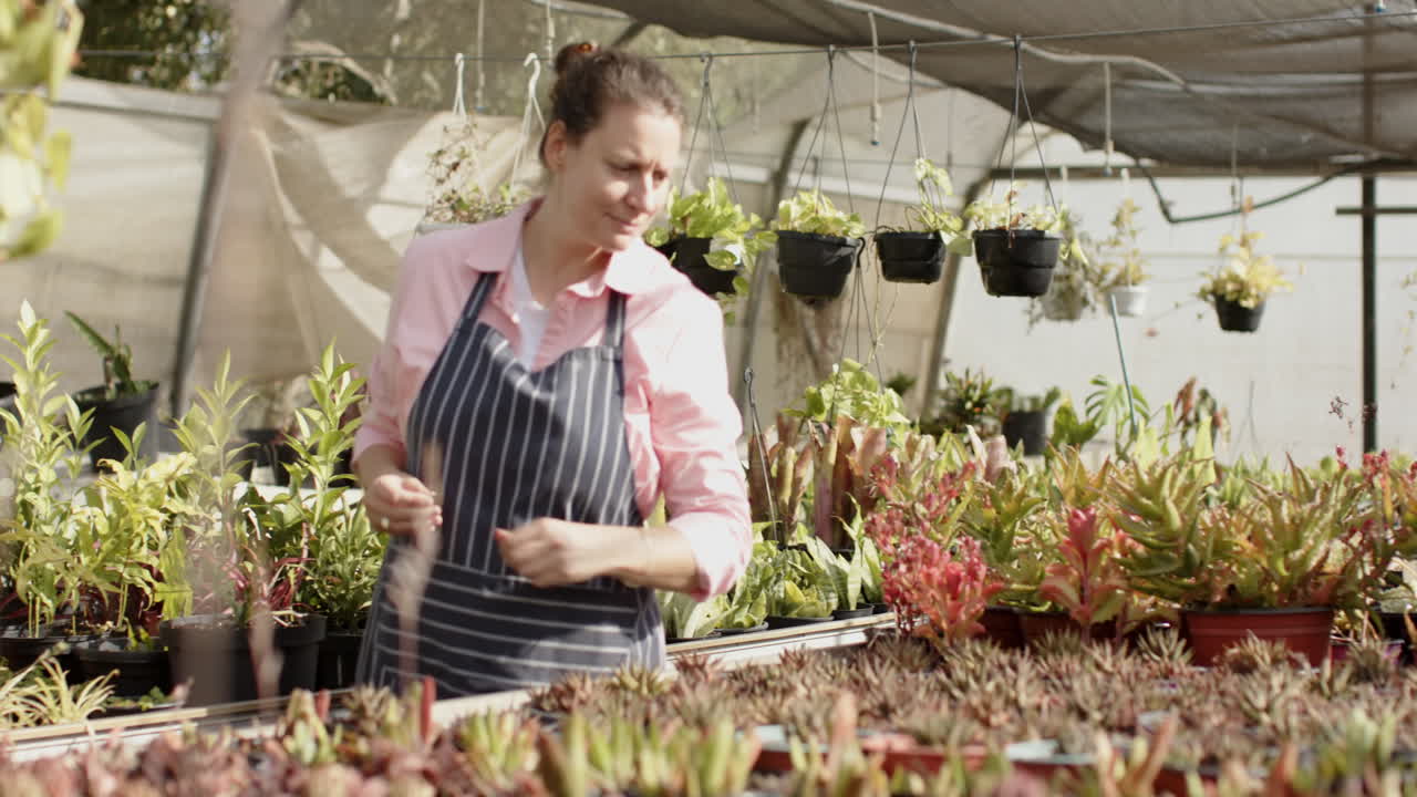 Gardener in apron examining potted plant in greenhouse, surrounded by greenery