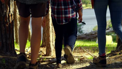 Rear-view-of-group-of-friends-walking-in-the-forest-4k