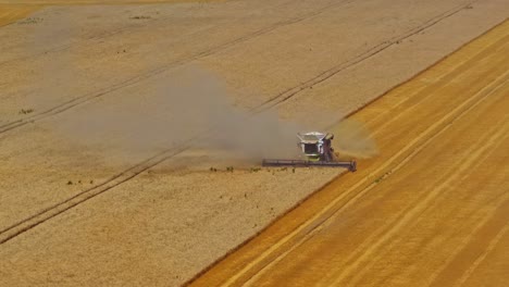Latvian combine harvester working alone in a vast golden wheat field during the industrial farming harvest season - wide aerial parallax shot