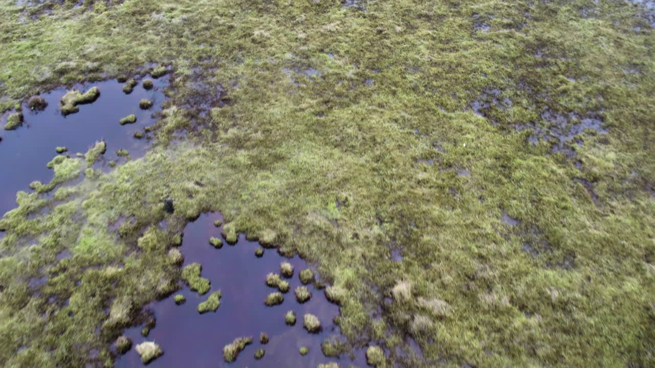 volando sobre un paisaje de humedales de musgo de cerca aéreo