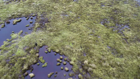 flying over a moss wetland landscape close up aerial