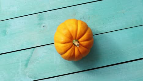 calabaza amarilla yacía en el medio