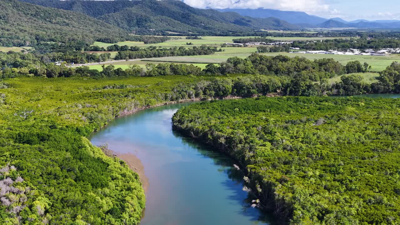 Drone footage captures a vibrant river winding through dense greenery under bright sunlight in Port Douglas, Australia