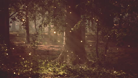 enchanted forest with glowing fireflies