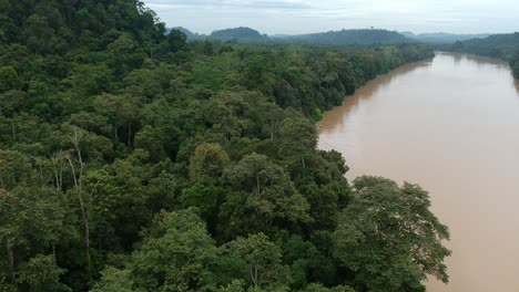 Drohnenaufnahmen-Aus-Dem-Regenwald-Von-Borneo-über-Dem-Kinabatangan-Fluss-Sukau-Sandakan-Sabah