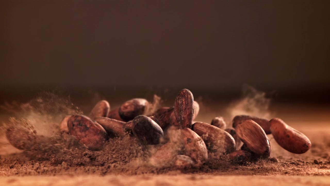 Raw Cocoa Beans Falling in Slow Motion onto Cocoa Powder