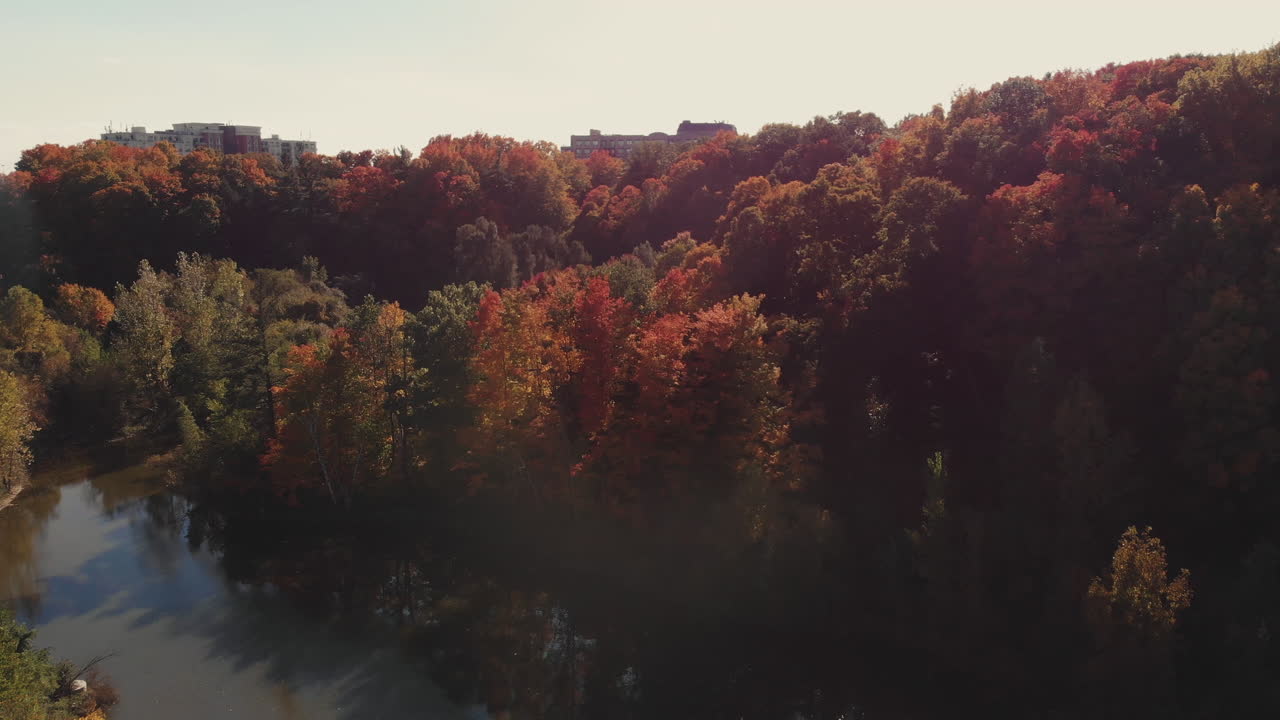 color de otoño sobre don valley parkway toronto ontario canadá