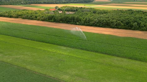 rociador de riego automático para regar los cultivos verdes en los campos rurales