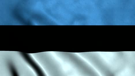 4k seamless loopable flag of estonia