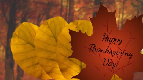 Animation-of-happy-thanksgiving-day-text-over-red-and-orange-autumn-leaves-in-park