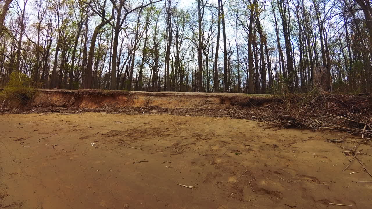 Pan up from a beach into the woods on a trail