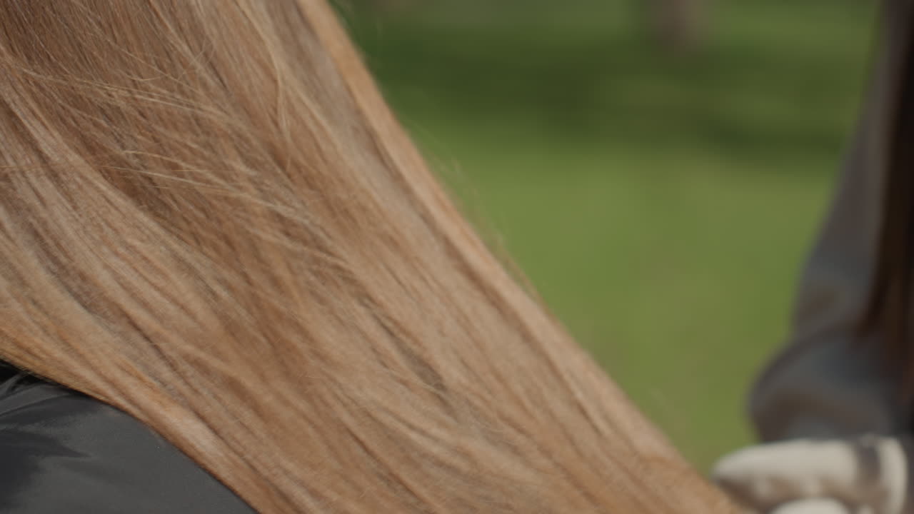 amistad a través del cabello, un día cálido de primavera captura a unas amigas trenzándose el pelo bajo la suave luz del sol, un momento de amistad íntima mientras las amigas entrelazan mechones al aire libre durante un día soleado de primavera