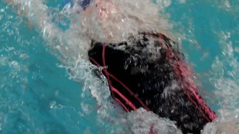 fit woman swimming in the swimming pool