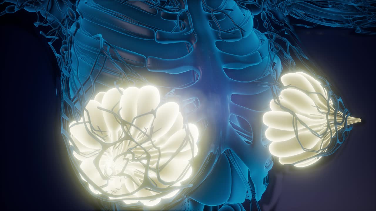 눈에 보이는 빛을 가진 인간의 몸 유방선