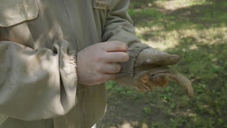 beekeeper putting on worn protective glove