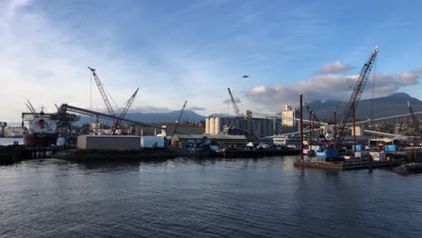 multiple offshore vessels moored at a dock with on the background a big grain terminal with a bulk carrier alongside on a partly cloudy day while birds are flying around