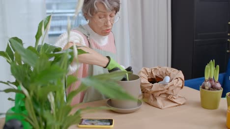 senior woman planting a houseplant