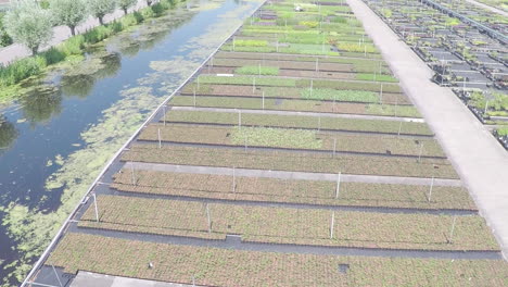 drone volando lentamente sobre el vivero activo