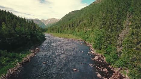 Dron-De-Paneo-Lento-Hacia-Adelante-Disparado-Sobre-Un-Río-Al-Lado-De-Una-Carretera-En-Un-Bosque