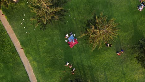 aerial drone view of people having a picnic in a park in australia