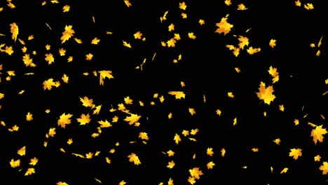 falling autumn leaves