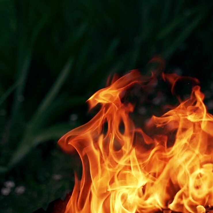 A burning bonfire on vacation during a hike in the forest. Divorced for cooking and for keeping warm in the cold evening.