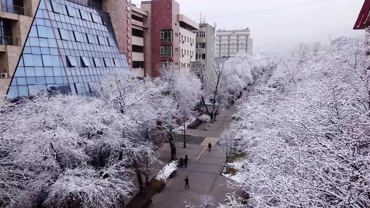 도시 의 돌집 들 사이 에 있는 눈  나무 들