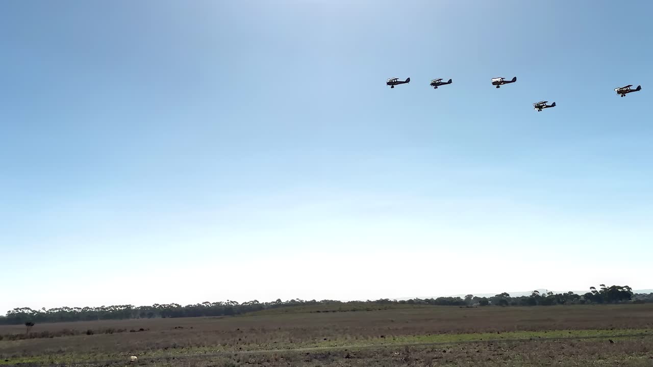 A group of biplanes flies in tight formation against a clear blue sky, above expansive rural fields.