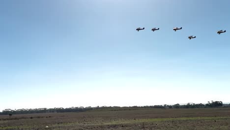a group of biplanes flies in tight formation against a clear blue sky, above expansive rural fields.