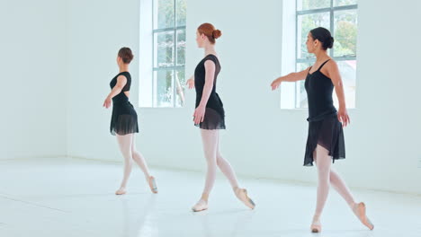 Ballet,-dance-and-art-with-woman-ballerina-friends