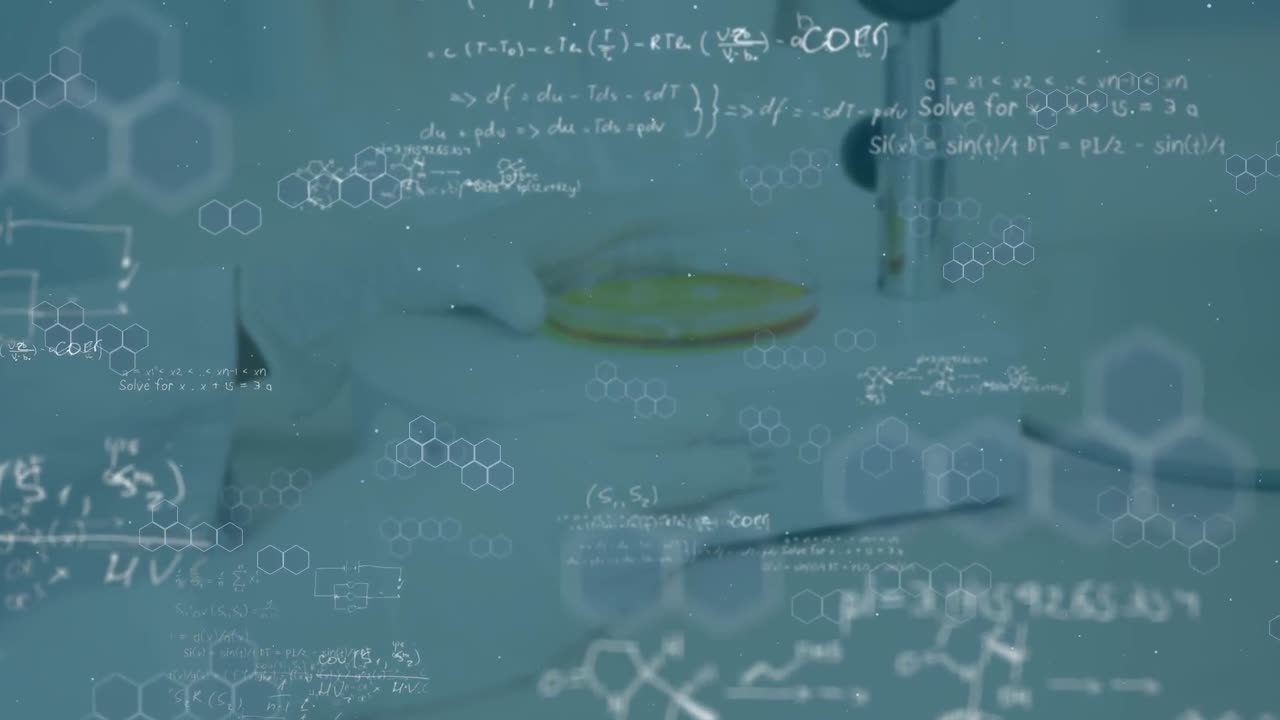 백인 여성 과학자에 대한 수학 방정식의 애니메이션