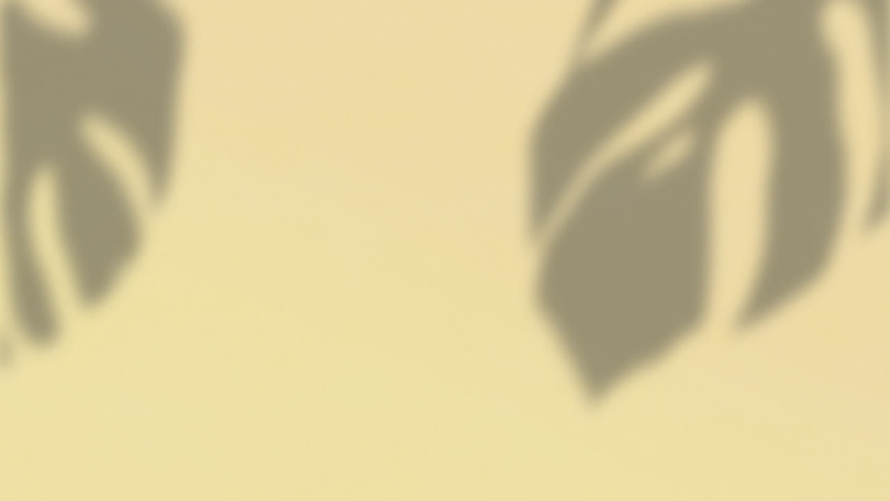 Animation of cheese plant leaf shadows moving on cream wall background