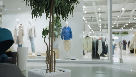 camera facing a clothing store in a mall, capturing a moment when a woman pushes a baby stroller by. the video highlights the dynamic retail environment and movement. shot with a handheld camera