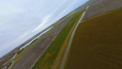 Ein-Schwarm-Möwen,-Der-Im-Winter-über-Einem-Flachen-Farmfeld-Fliegt