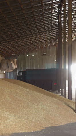lorry drives along granary with piles of wheat grains crop slow motion. cereal harvest store premise and transport. agricultural business facilities