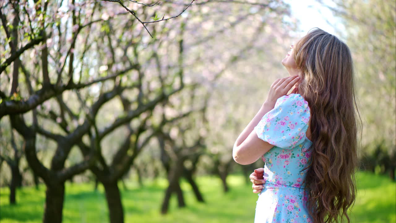 Brunette woman in a blue dress in a field of blooming almond trees