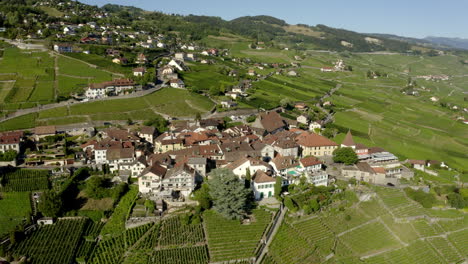 lavaux vineyard terraces surrounding grandvaux village during summer, switzerland - aerial drone