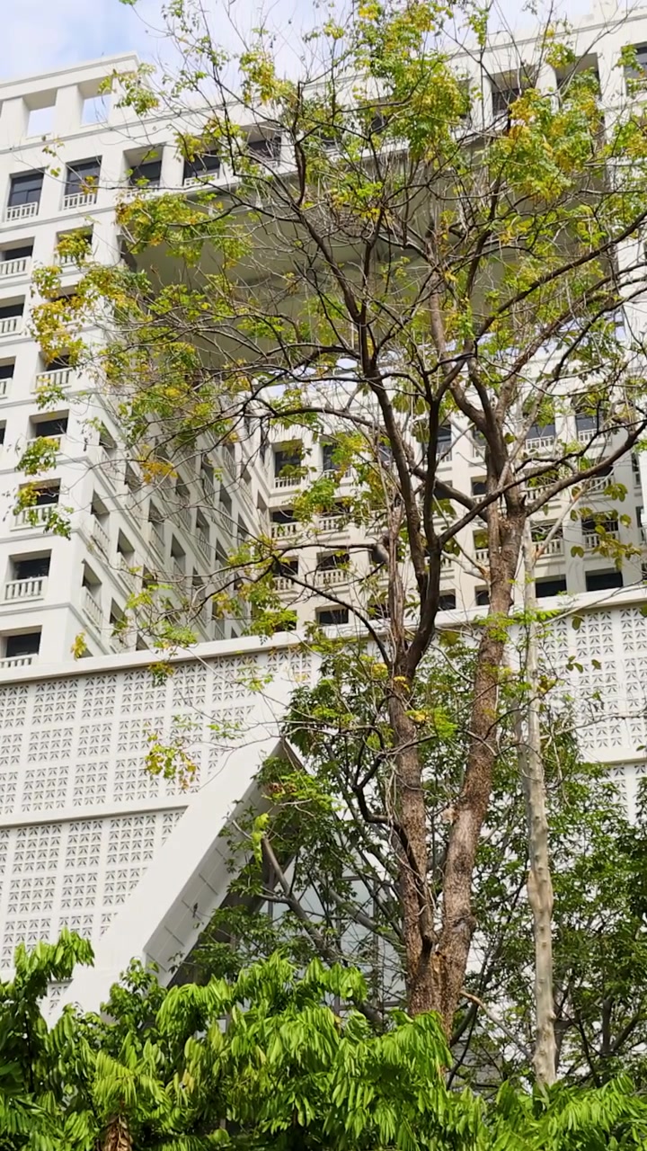 Uma tomada vertical inclinada revela a fachada de um edifício branco contemporâneo atrás de árvores tropicais vibrantes.