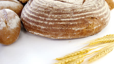 Various-types-of-breads-with-wheat-grains