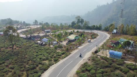 道路穿過山區的茶園