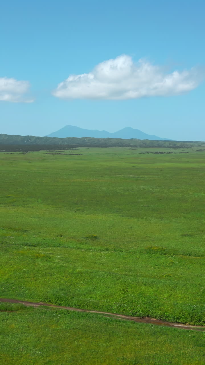vastas llanuras verdes con montañas lejanas bajo un cielo despejado