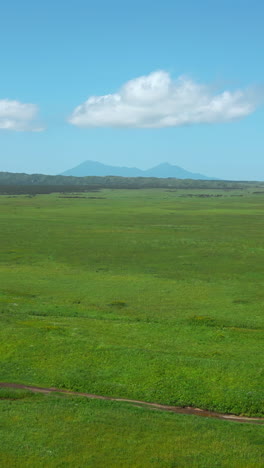 vast green plains with distant mountains under a clear sky