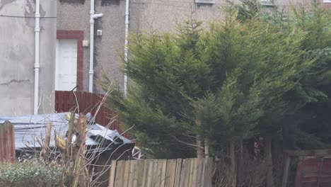 Slow-motion-and-close-up-shot-of-strong-winds-hitting-trees,-a-fence-and-the-roof-of-a-shed