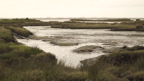 4k muddy river bed in a low tide with some water flowing down the river to the ocean