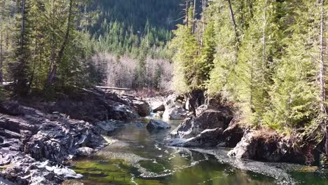 beautiful waterfall, kennedy river falls, vancouver island, canada