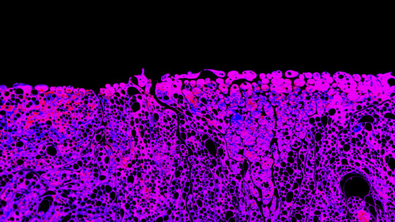 스크린에서 움직이는 색상과 함께 비누 필름 표면의 표면